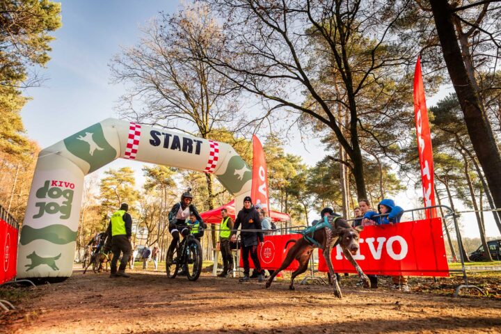 Opblaasboog Kivo Dogjog