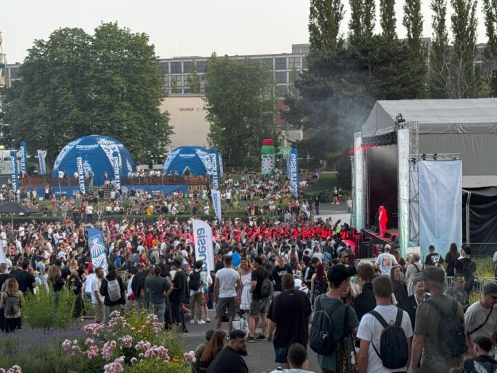 Festival Zamnesia Web
